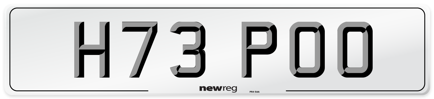 H73 POO Number Plate from New Reg